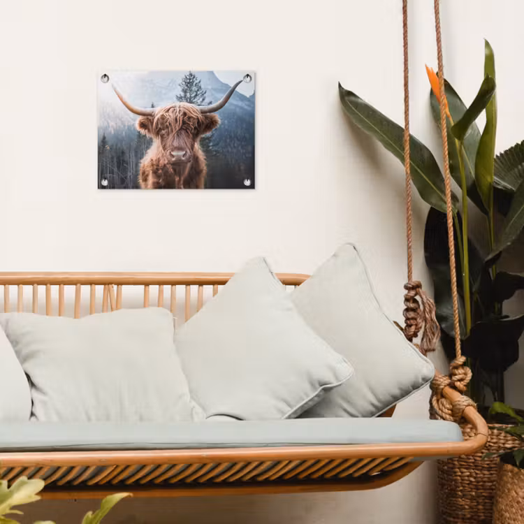 Tuinposter - Hooglander van Dichtbij — 4