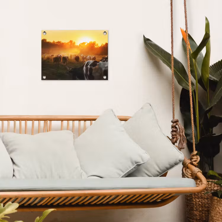 Tuinposter - Koeien bij Zonsondergang — 4