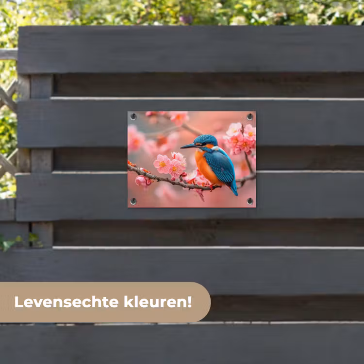 Tuinposter - IJsvogel tussen Kersenbloesems — 6