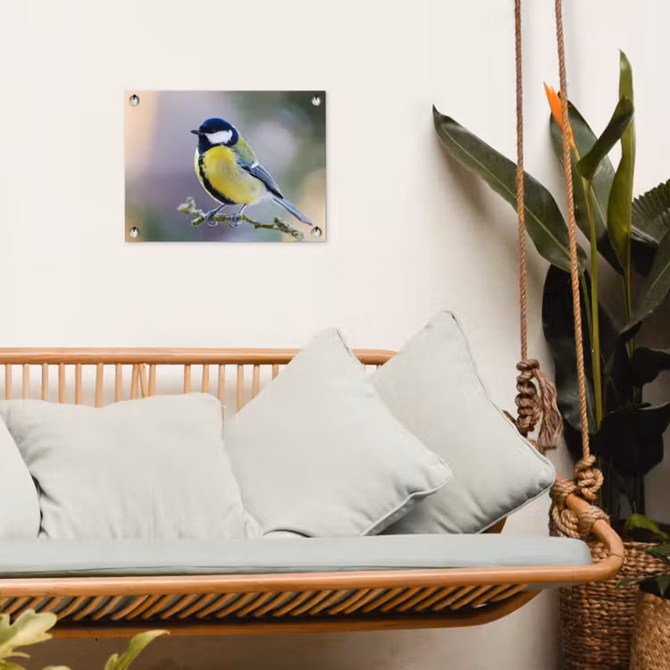 Tuinposter - Koolmees op een Tak — 4