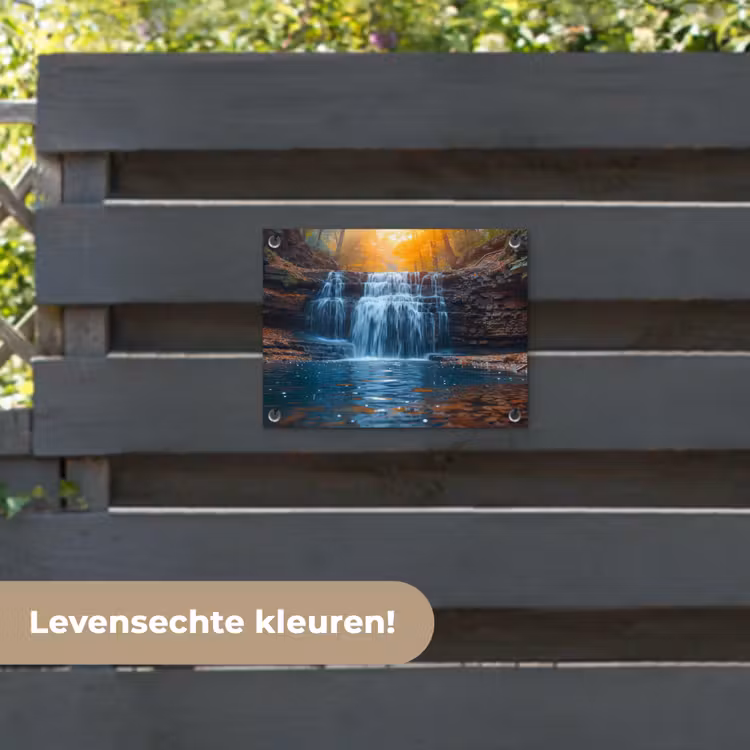 Tuinposter - Herfstwaterval in het Bos — 6
