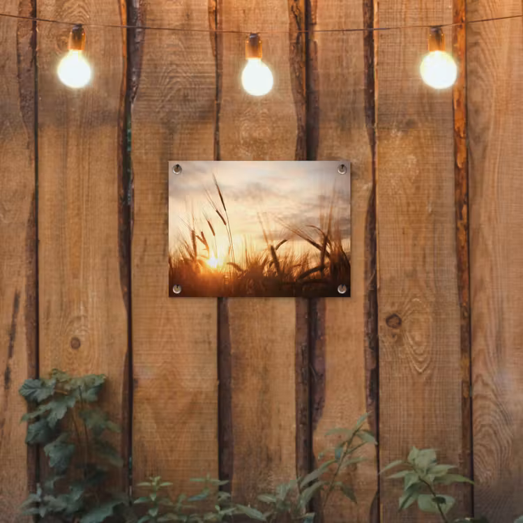 Tuinposter - Gouden Graanveld bij Zonsopgang — 3