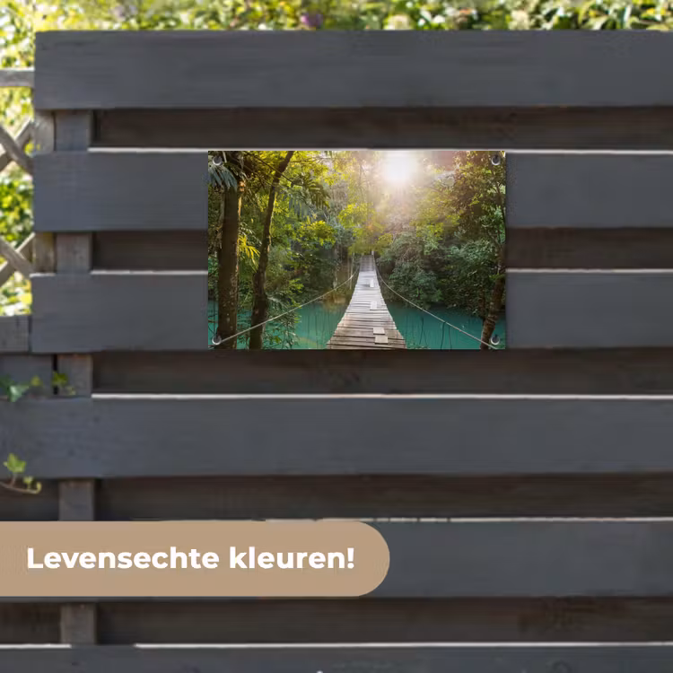 Tuinposter - Hangbrug in het Regenwoud — 6