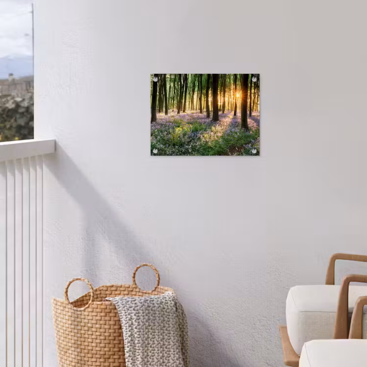 Tuinposter - Bos met blauwe hyacinten bij zonsopgang — 5