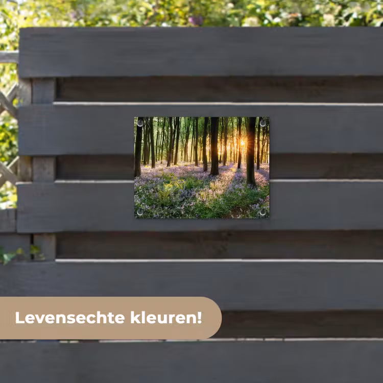 Tuinposter - Bos met blauwe hyacinten bij zonsopgang — 6