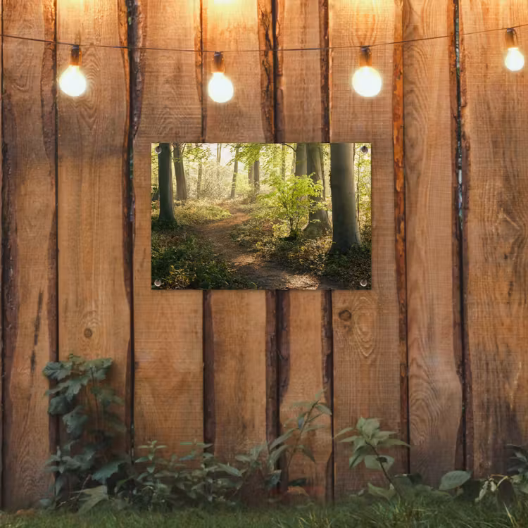 Tuinposter - Bospad bij zonsopgang — 2