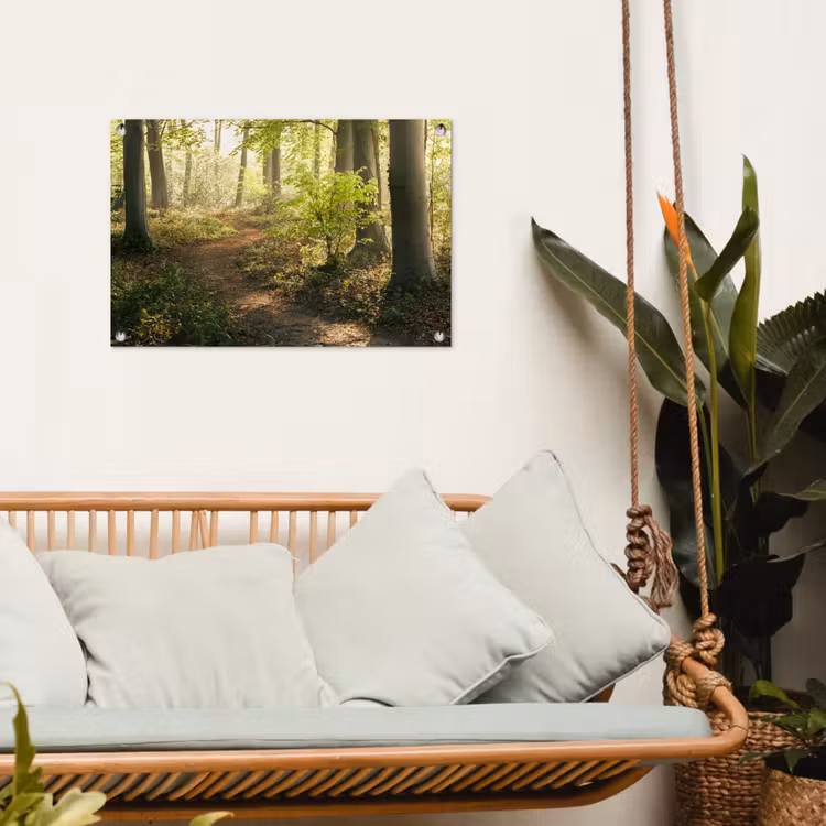 Tuinposter - Bospad bij zonsopgang — 4