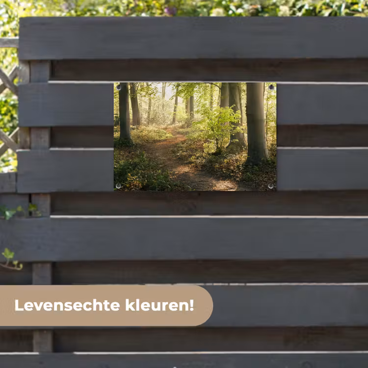 Tuinposter - Bospad bij zonsopgang — 6