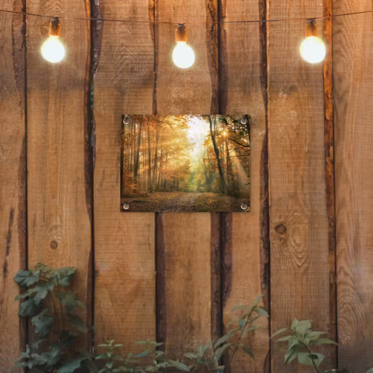 Tuinposter - Herfstbos in gouden zonlicht — 2