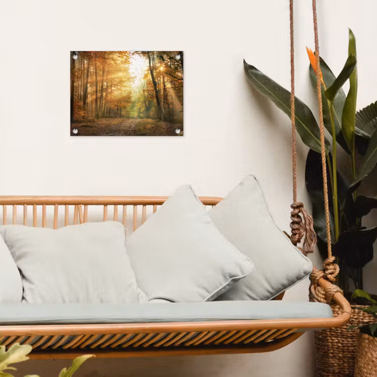 Tuinposter - Herfstbos in gouden zonlicht — 4