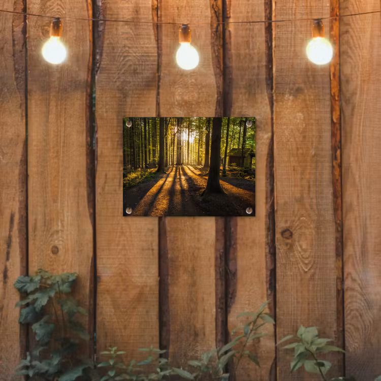 Tuinposter - Avondlicht in het bos — 3