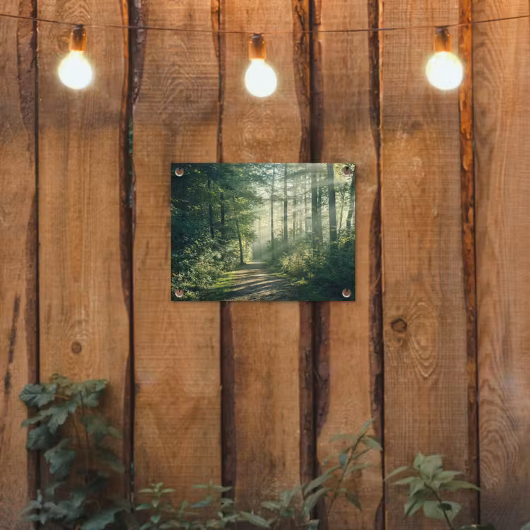 Tuinposter - Bosweg in ochtendlicht — 3
