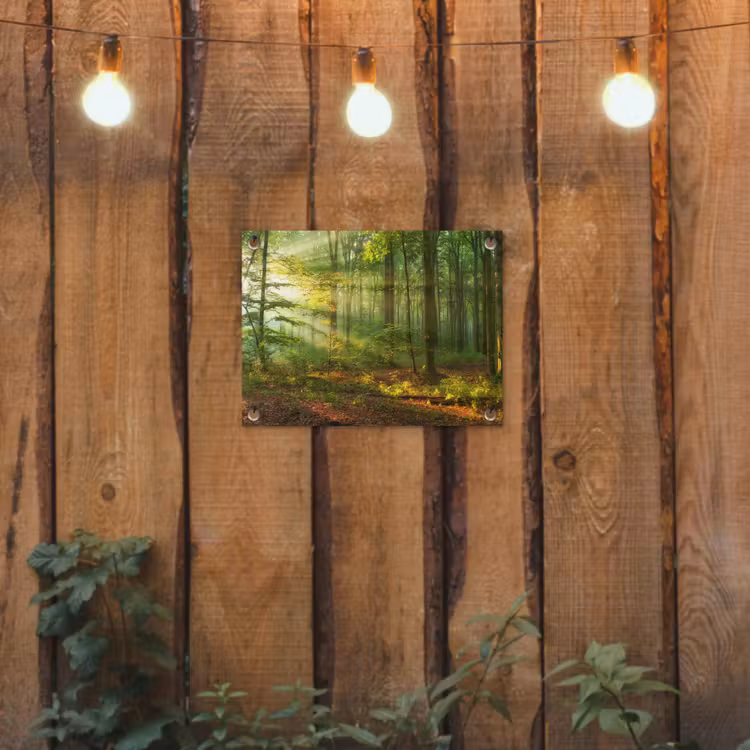 Tuinposter - Ochtendlicht in het bos — 2