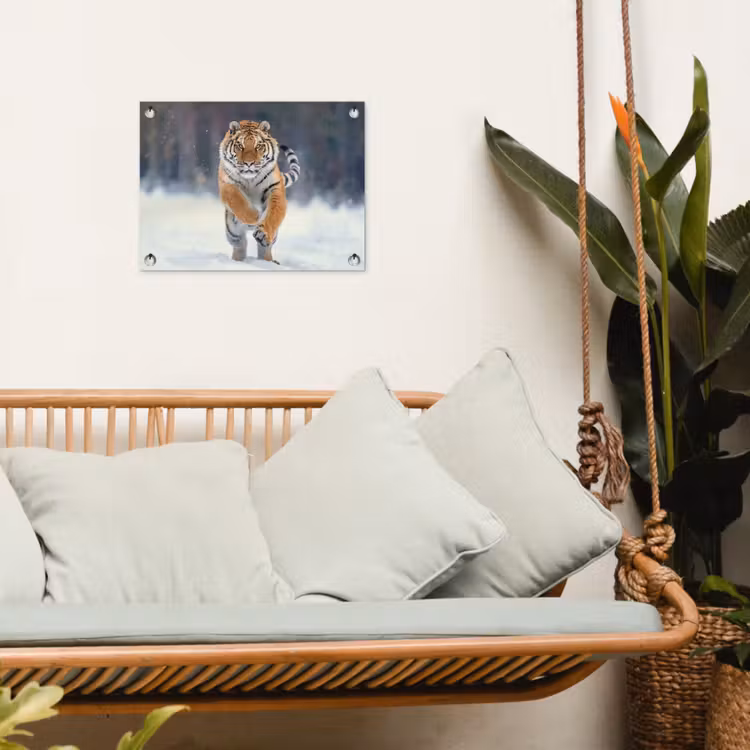 Tuinposter - Tijger rennend door de sneeuw — 4