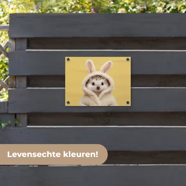 Tuinposter - Egel - Paashaas - Kostuum — 6