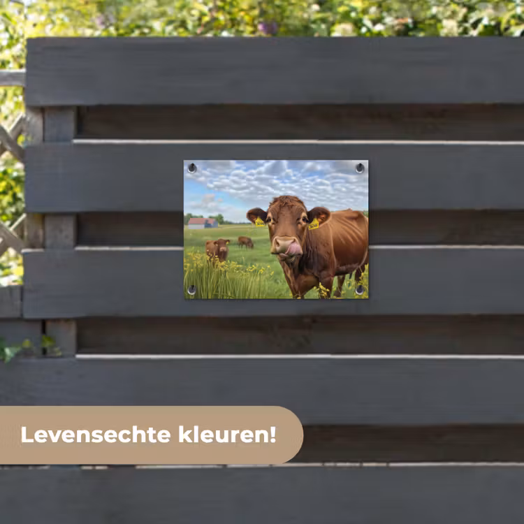 Tuinposter - Koe - Weide - Bloemen — 6