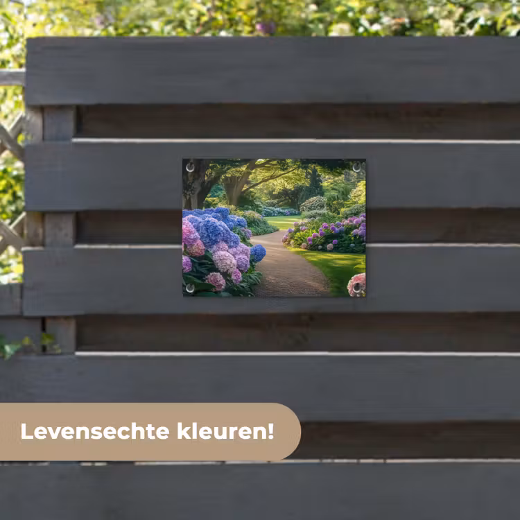 Tuinposter - Hortensia- Park - Pad — 6
