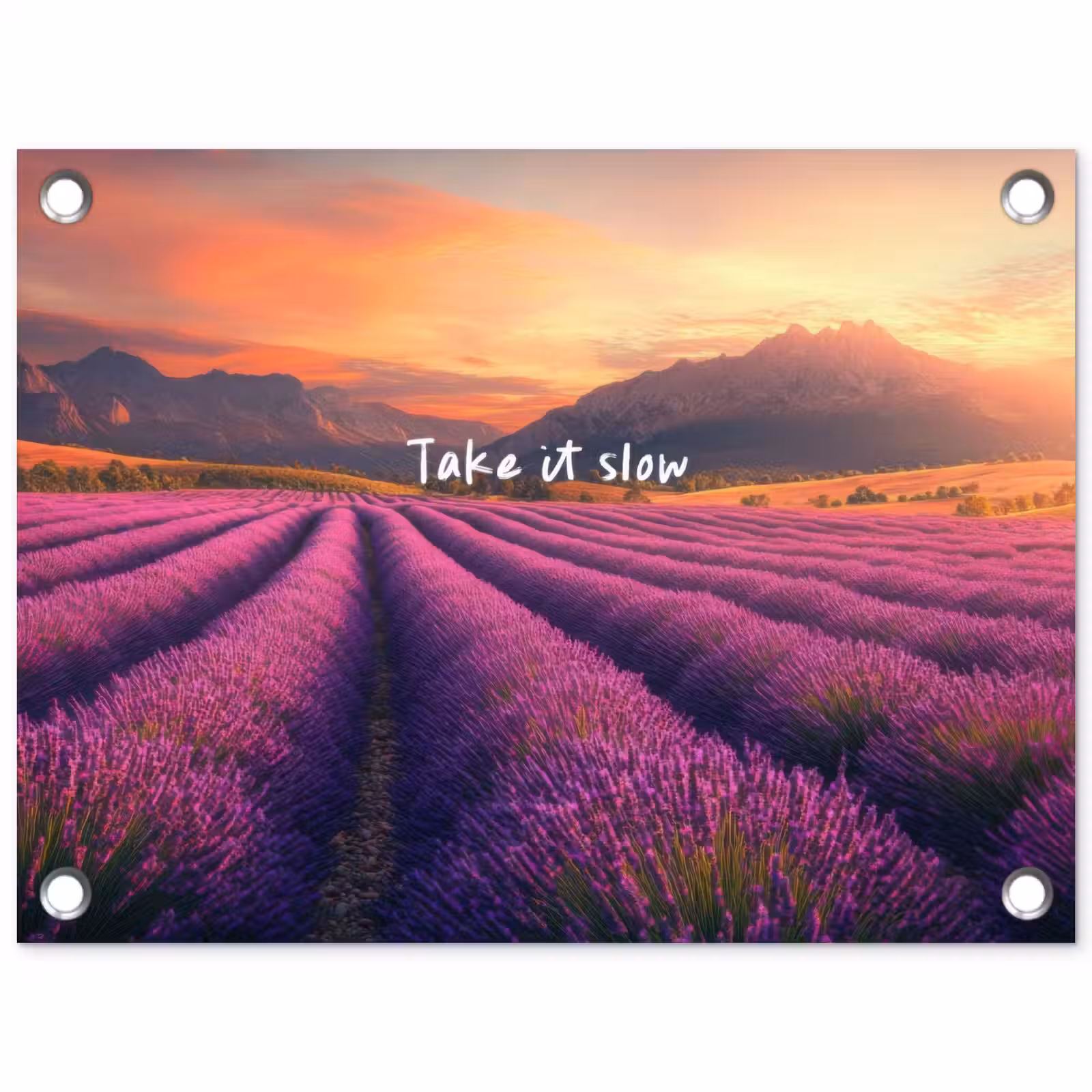 Tuinposter - Lavendelveld - Quote - Zonsondergang — 1