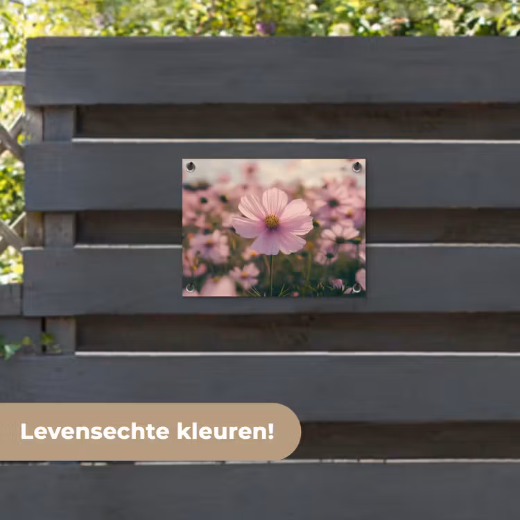 Tuinposter - Bloemen - Paars - Wazig — 6