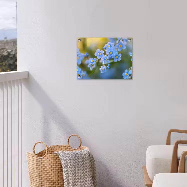Tuinposter - Bloemetjes - Blauw - Vergeet mij nietjes — 5