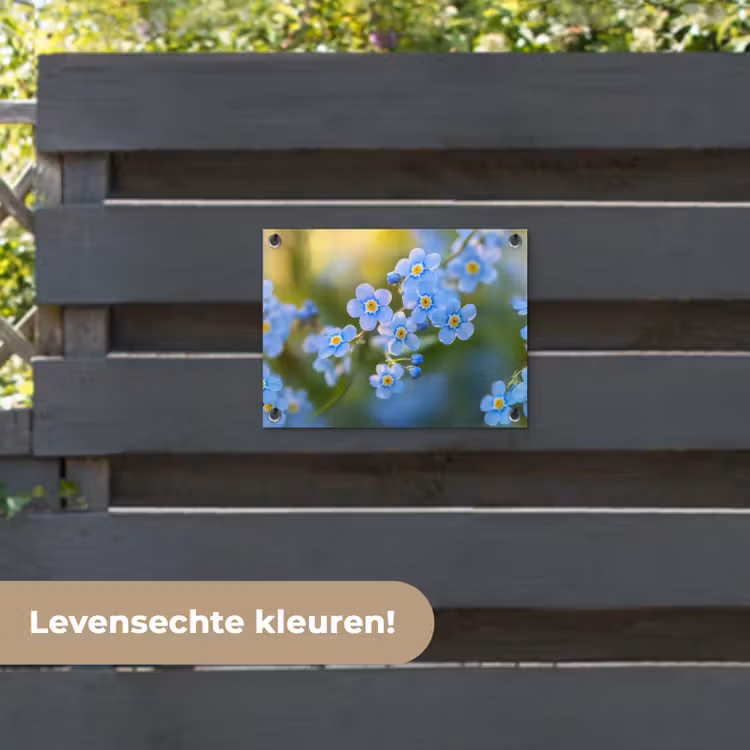 Tuinposter - Bloemetjes - Blauw - Vergeet mij nietjes — 6