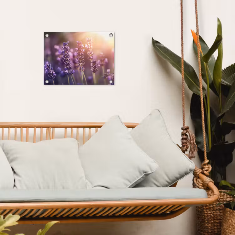 Tuinposter - Lavendelbloemen - Paars - Zonlicht — 4
