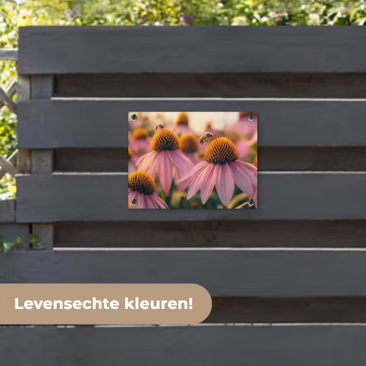 Tuinposter - Bloemen - Paars - Bijen — 6