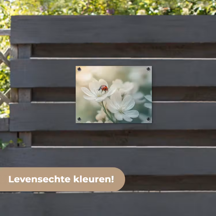 Tuinposter - Lieveheersbeestje - Bloemen - Wit — 6