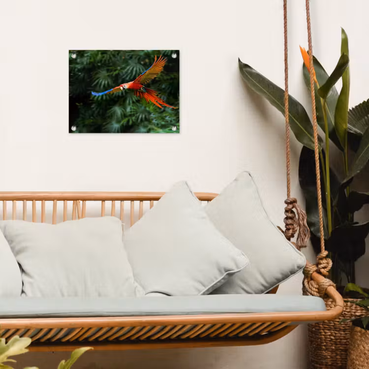 Tuinposter - Kleurrijke papegaai is aan het vliegen — 4