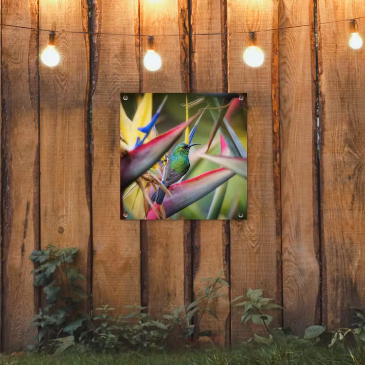Tuinposter - Kleurrijke vogel tussen allemaal kleurrijke platen — 2