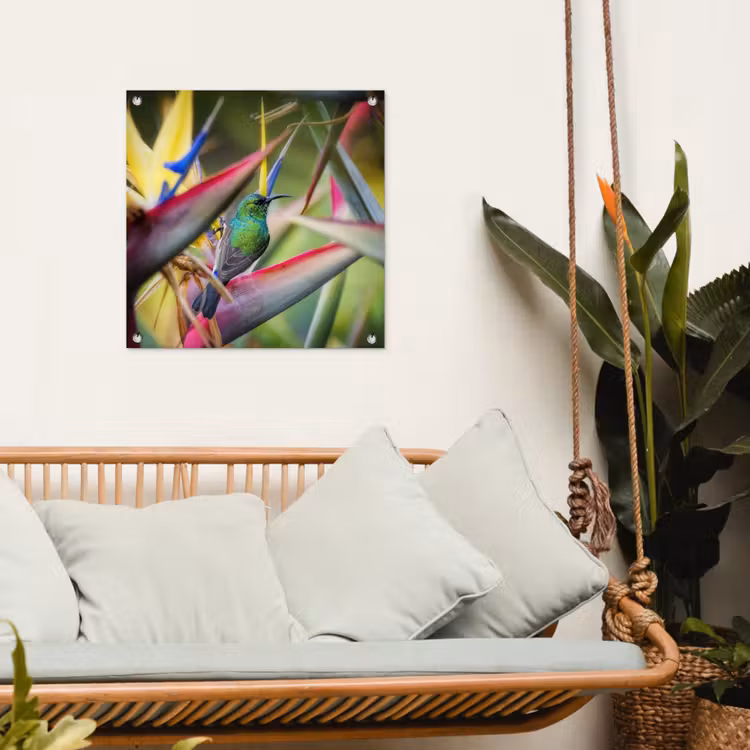 Tuinposter - Kleurrijke vogel tussen allemaal kleurrijke platen — 4