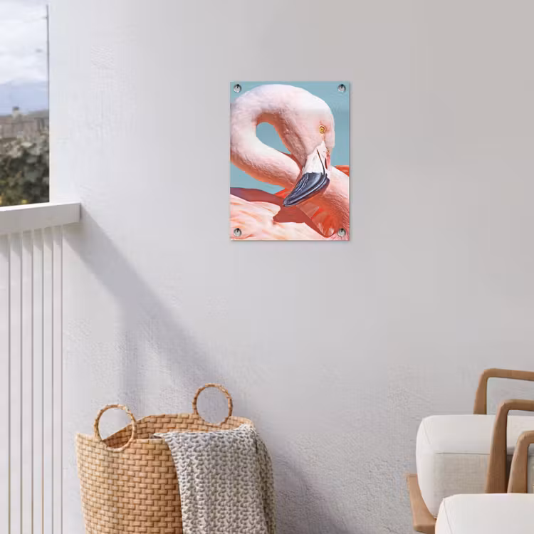 Tuinposter - Close-up flamingo — 5