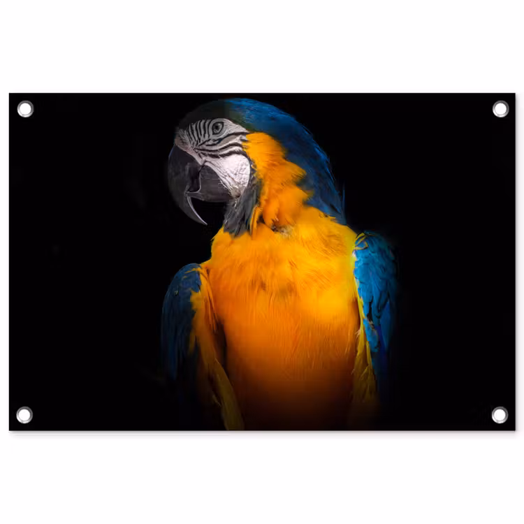 Tuinposter - Dieren - Papegaai - Vogel — 1