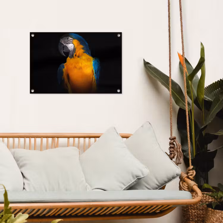 Tuinposter - Dieren - Papegaai - Vogel — 4