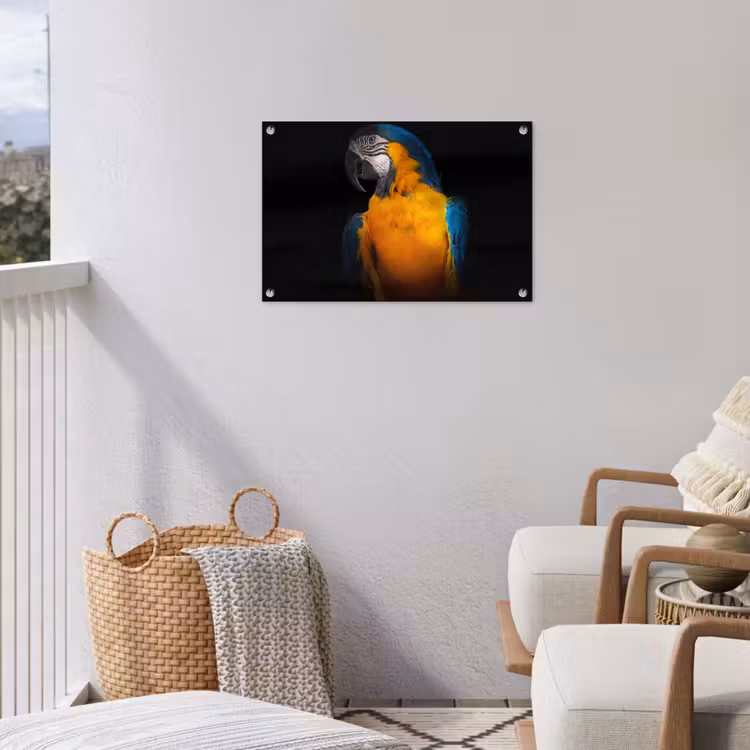 Tuinposter - Dieren - Papegaai - Vogel — 5