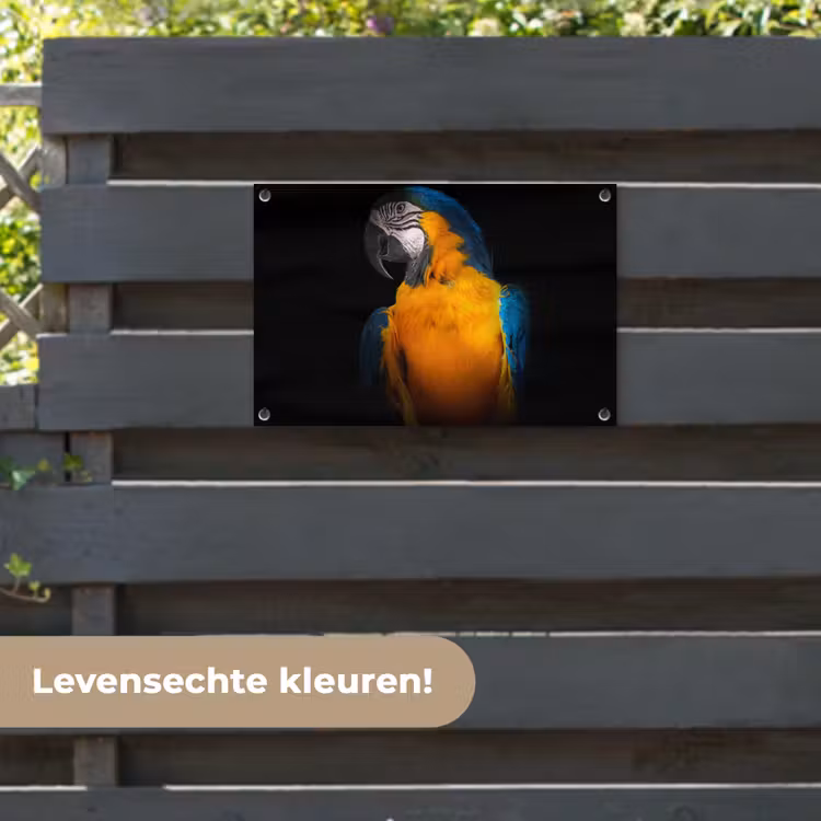 Tuinposter - Dieren - Papegaai - Vogel — 6