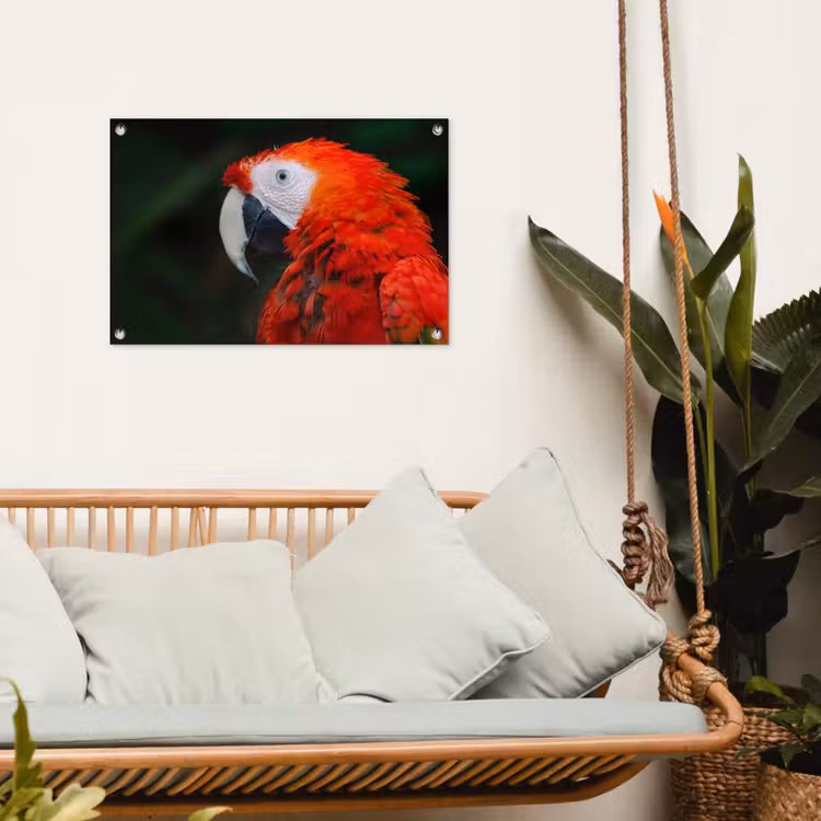 Tuinposter - Dieren - Vogel - Papegaai — 4