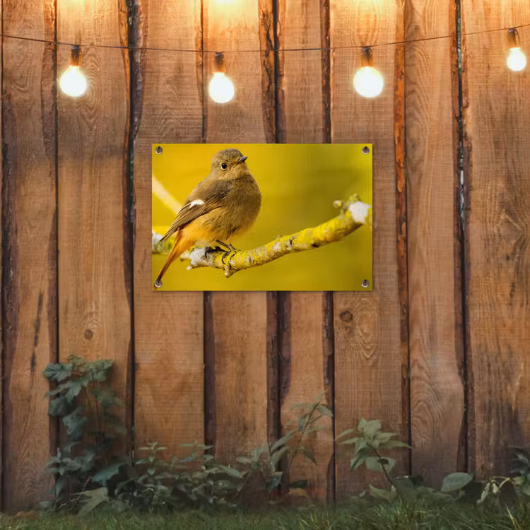 Tuinposter - Dieren - Vogel - Tak — 2