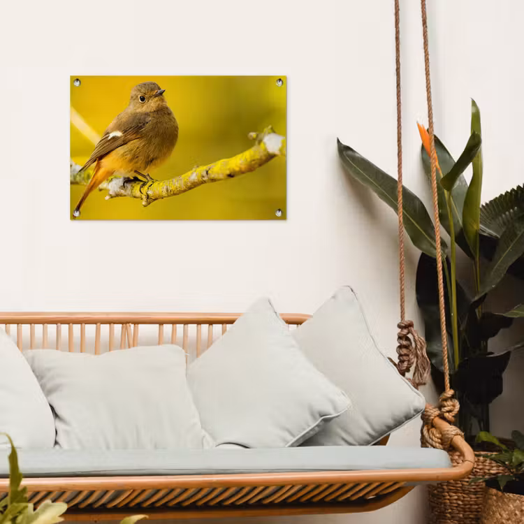 Tuinposter - Dieren - Vogel - Tak — 4