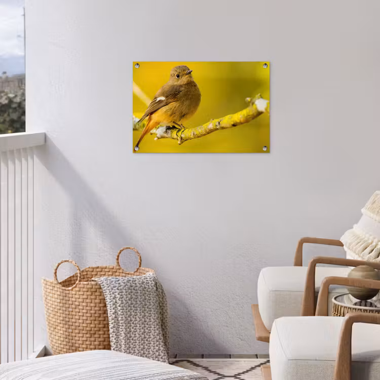 Tuinposter - Dieren - Vogel - Tak — 5
