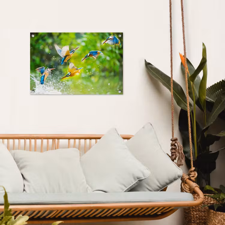 Tuinposter - IJsvogels vliegen in het water — 4