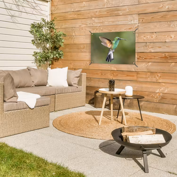 Tuinposter - Kolibrie - Vogels - Veren — 2