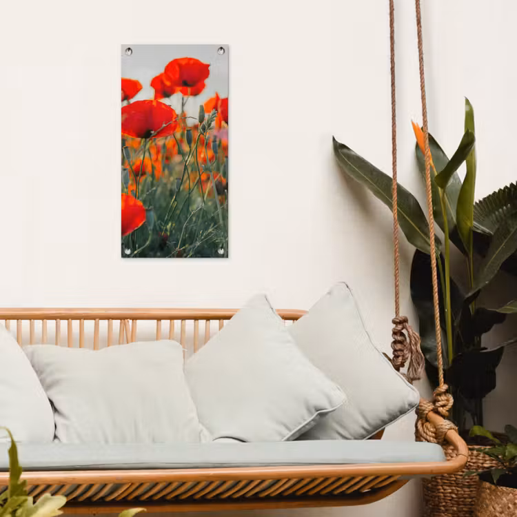 Tuinposter - Klaprozen in close-up bij zonsondergang — 4