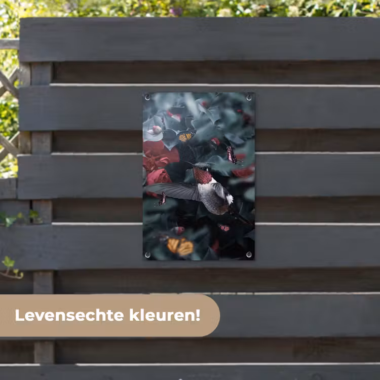 Tuinposter - Kolibrie - Roze - Vlinders — 6