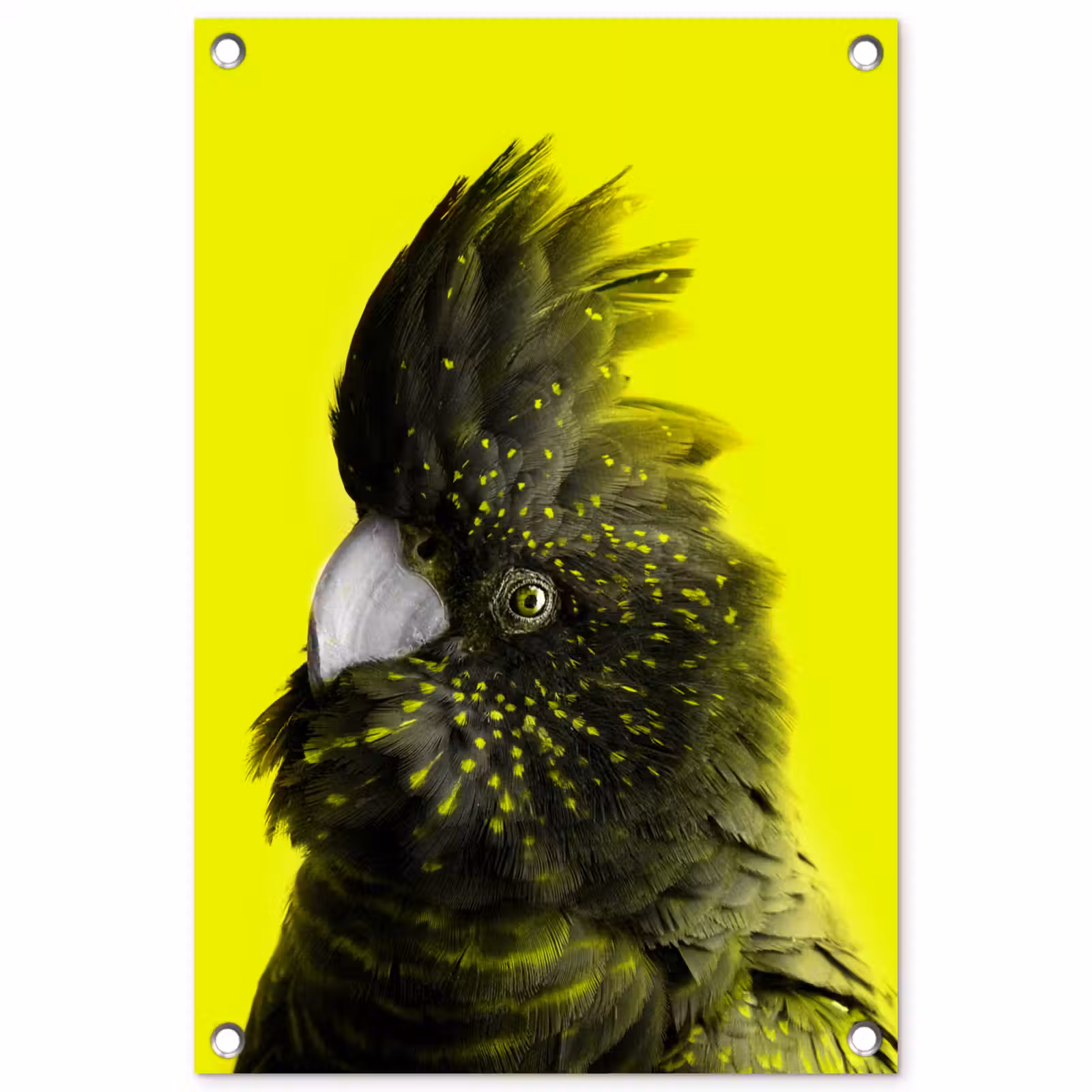 Tuinposter - Kaketoe - Vogel - Geel — 1