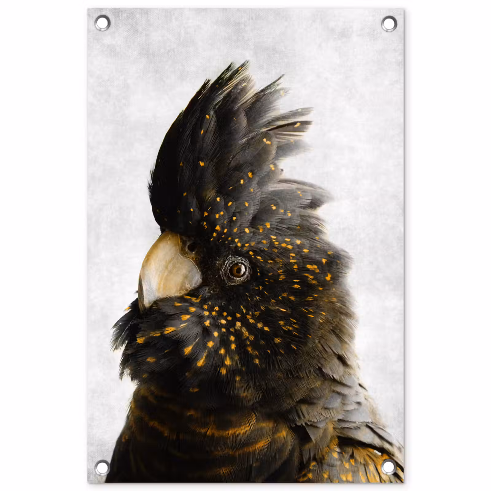 Tuinposter - Kaketoe - Vogel - Goud — 1