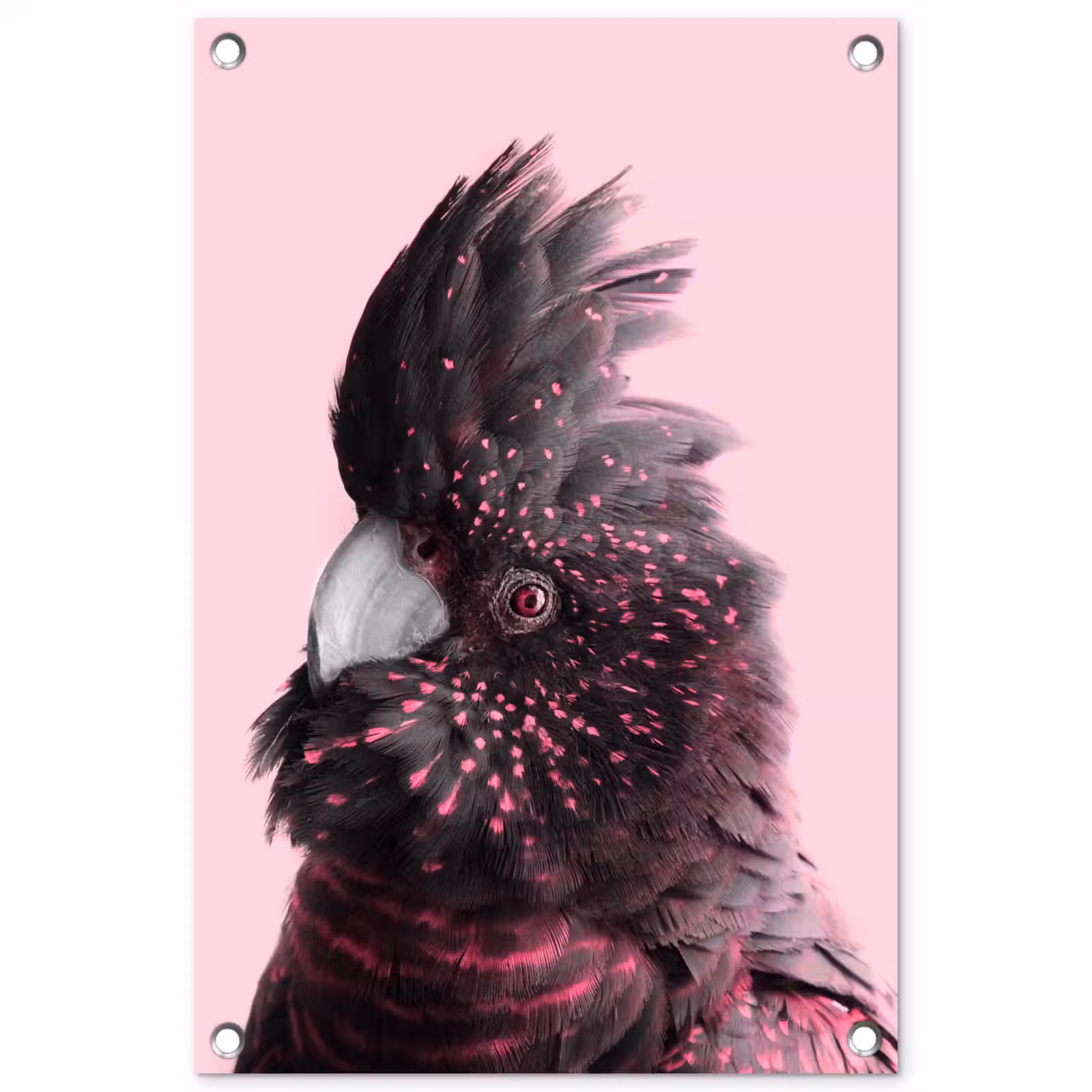 Tuinposter - Kaketoe - Vogel - Roze — 1