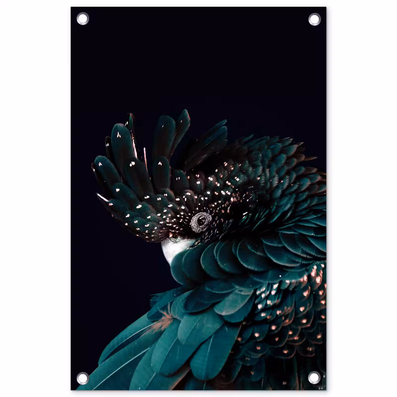 Tuinposter - Kaketoe - Vogel - Zwart — 1