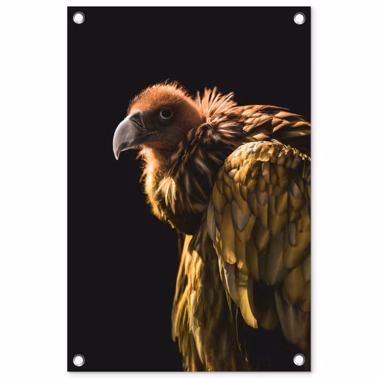 Tuinposter - Gier - Roofdier - Vogel — 1