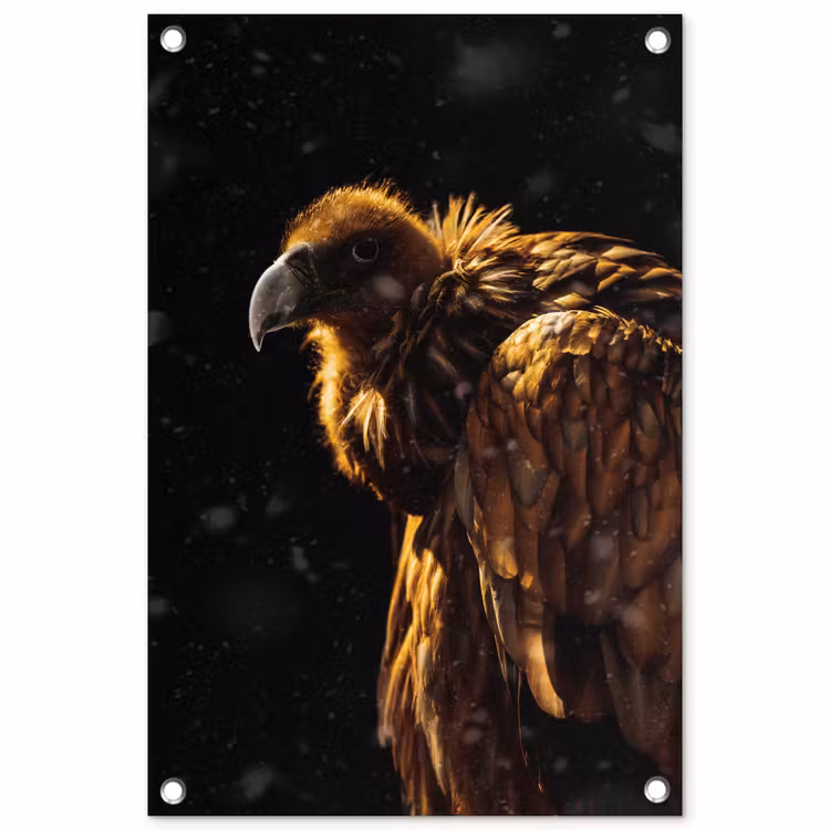 Tuinposter - Gier - Vogel - Roofvogel — 1